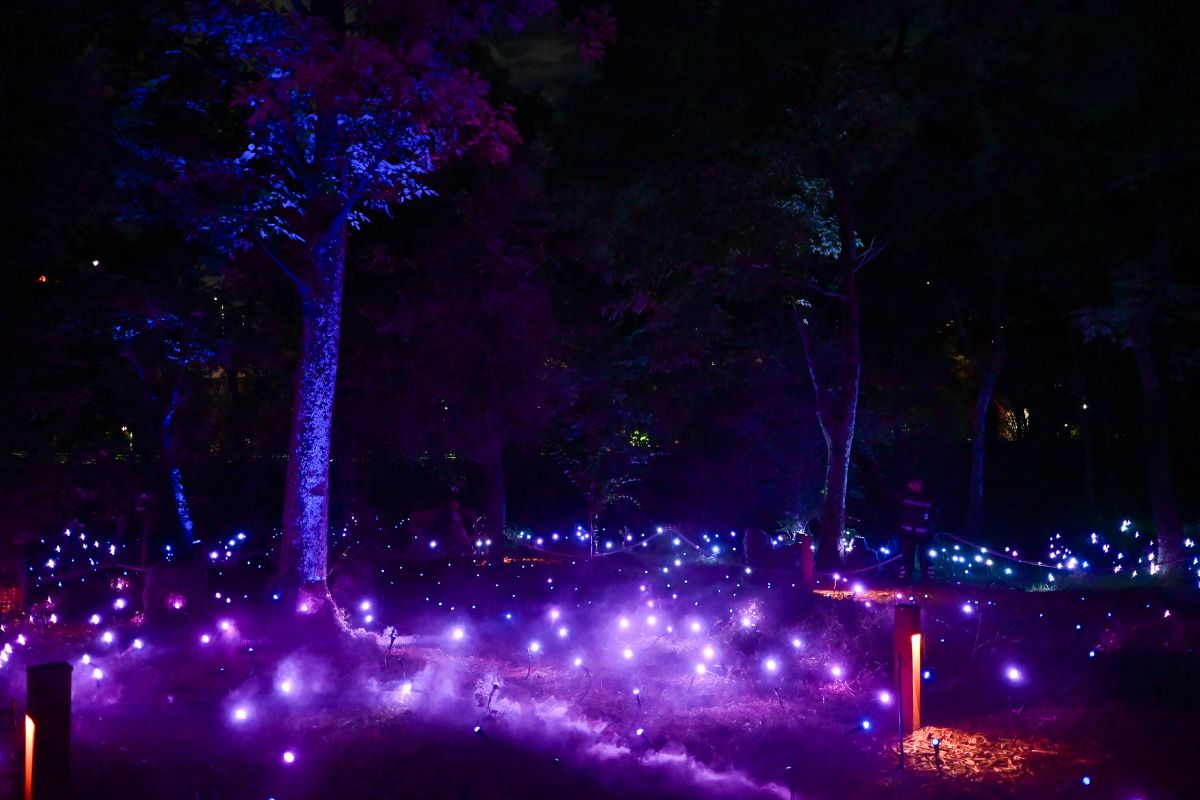 light cycles luces chapultepec