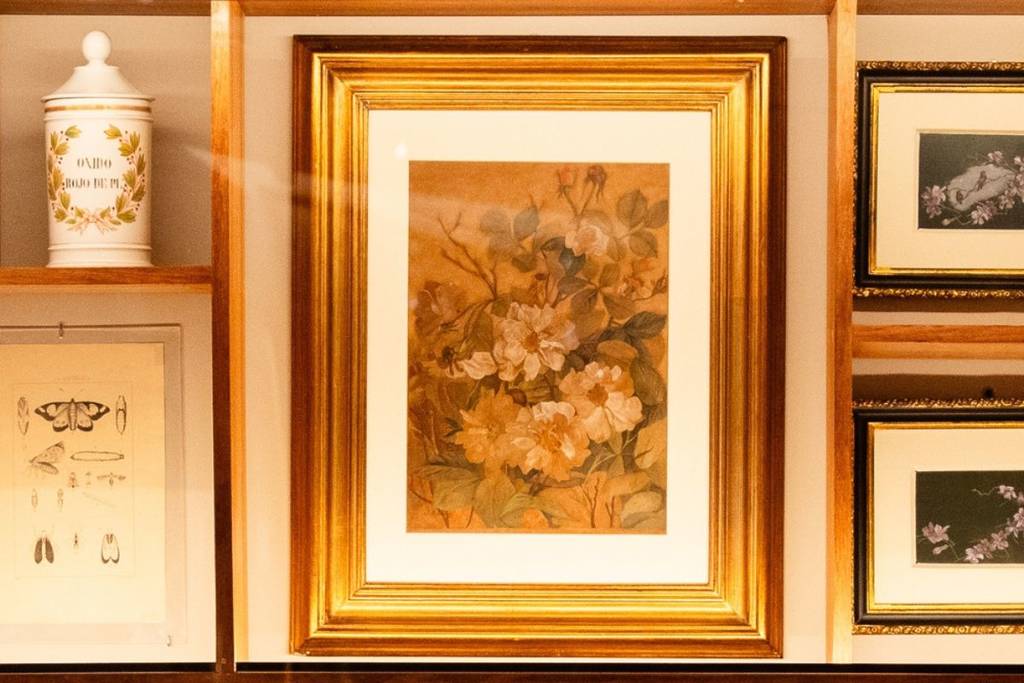 exhibition el jardín de velasco museo kaluz