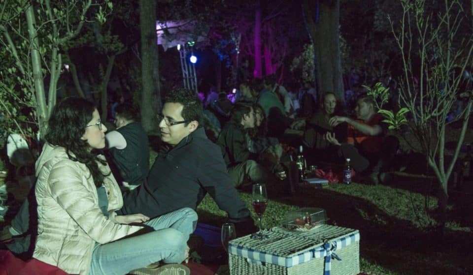 Celebra Navidad con un picnic nocturno en Bosque de Aragón