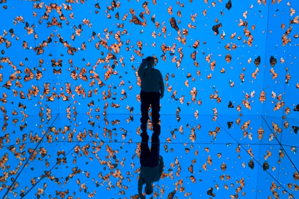 mystyka experience cdmx