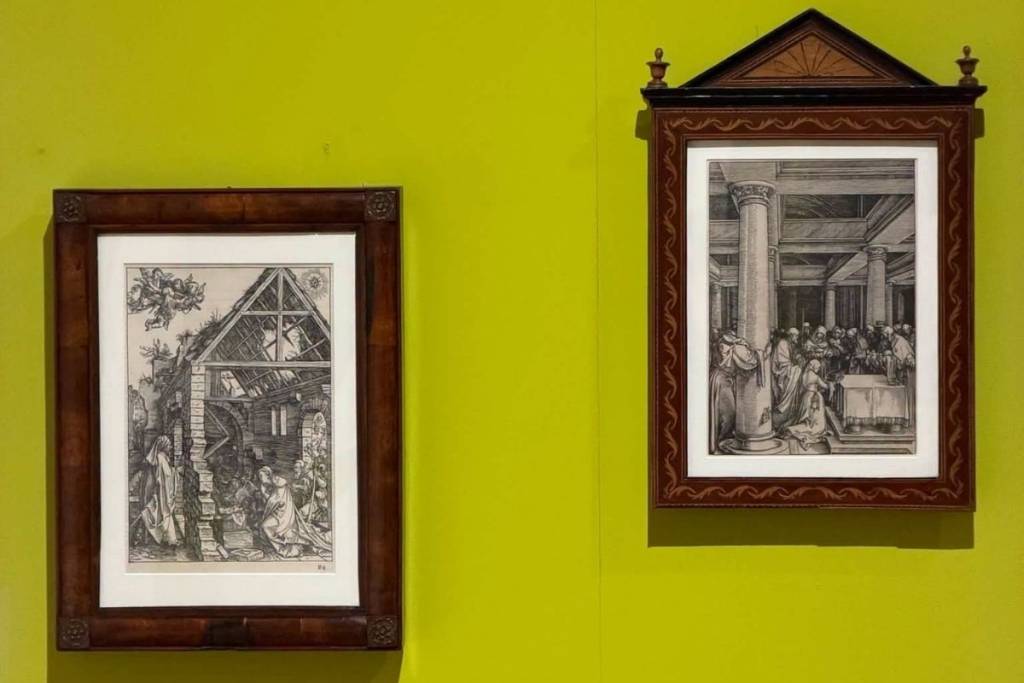exposición durero museo franz mayer
