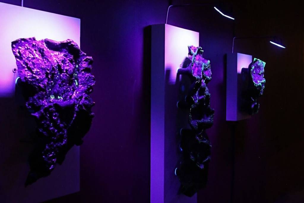 exposiciones abril cdmx 2026