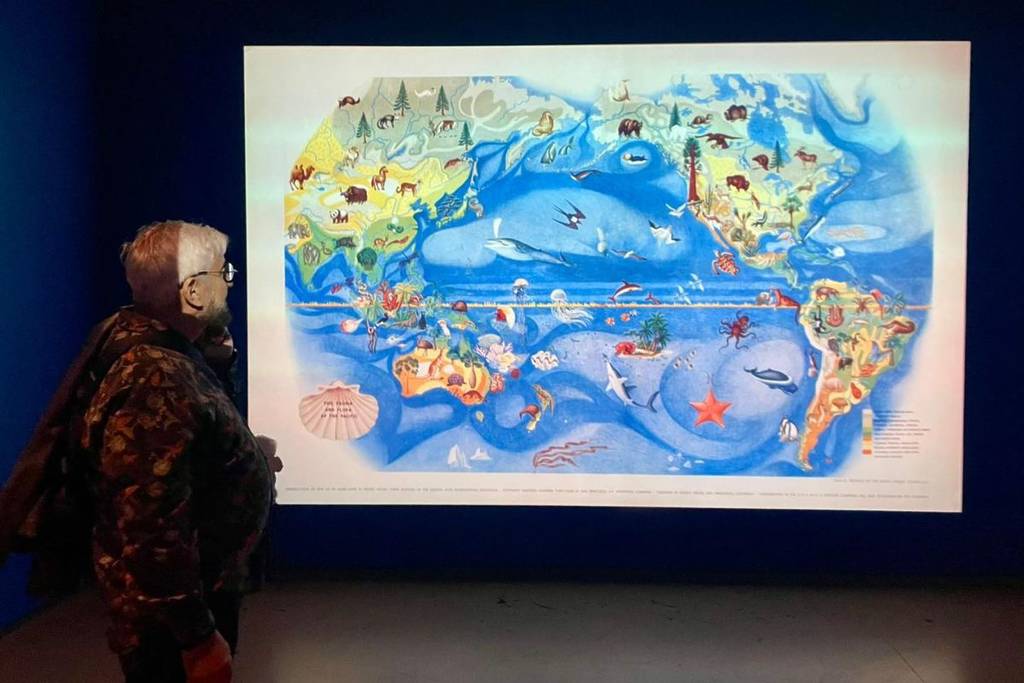 exposición somos pacífico