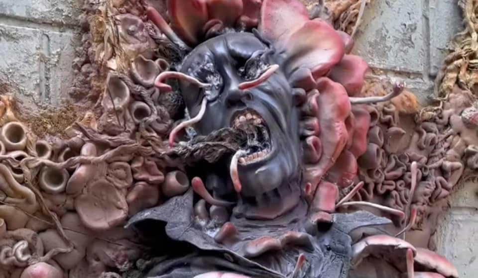 ¡Cuidado! El cordyceps de The Last of Us llegó a la CDMX