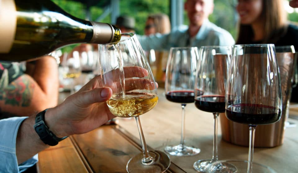 Nación de Vinos 2023: Vino y gastronomía en Campo Marte