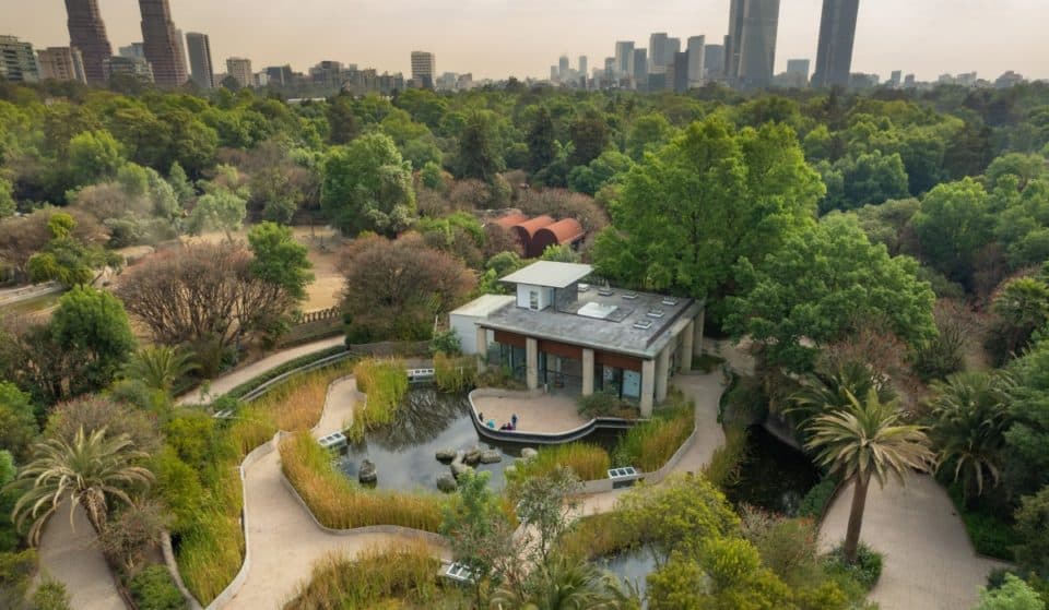 Museos nuevos en CDMX que puedes visitar