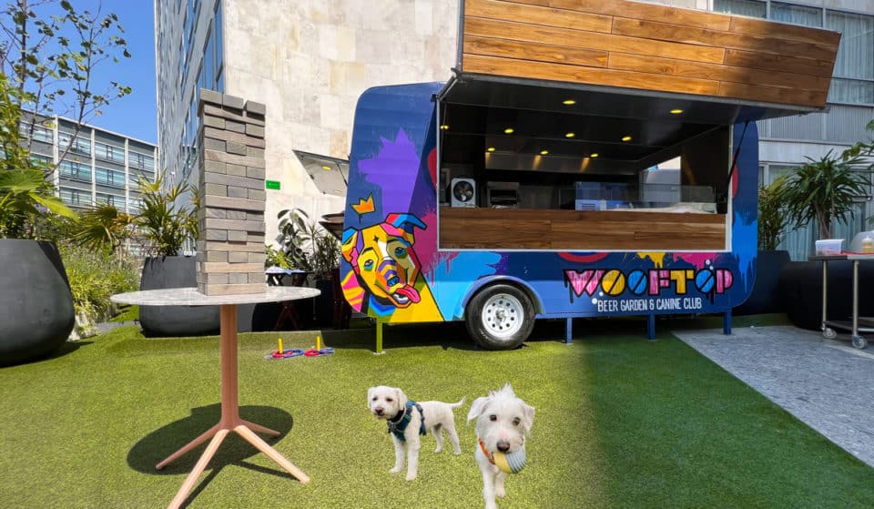 Wooftop: El Beer Garden & Canine Club que tu perrito amará