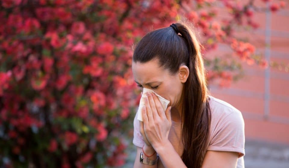 Alergia o contaminación: ¿por qué tenemos molestias respiratorias?