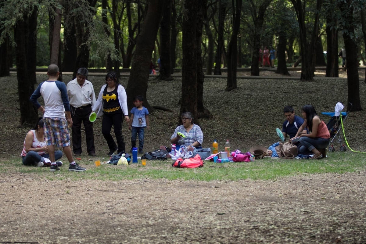 Qué hacer el domingo en CDMX