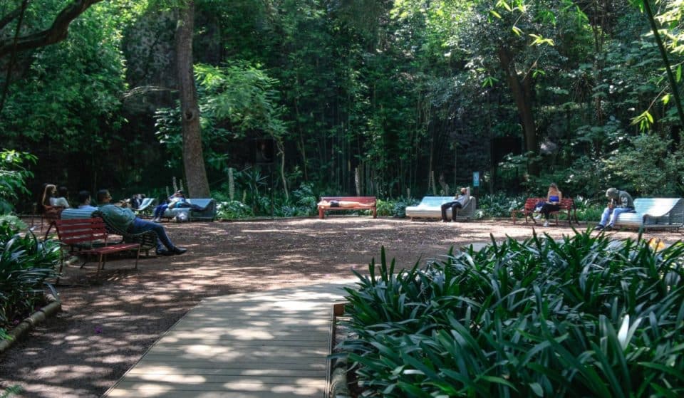 ¡Celebra el 50 aniversario del audiorama de Chapultepec!