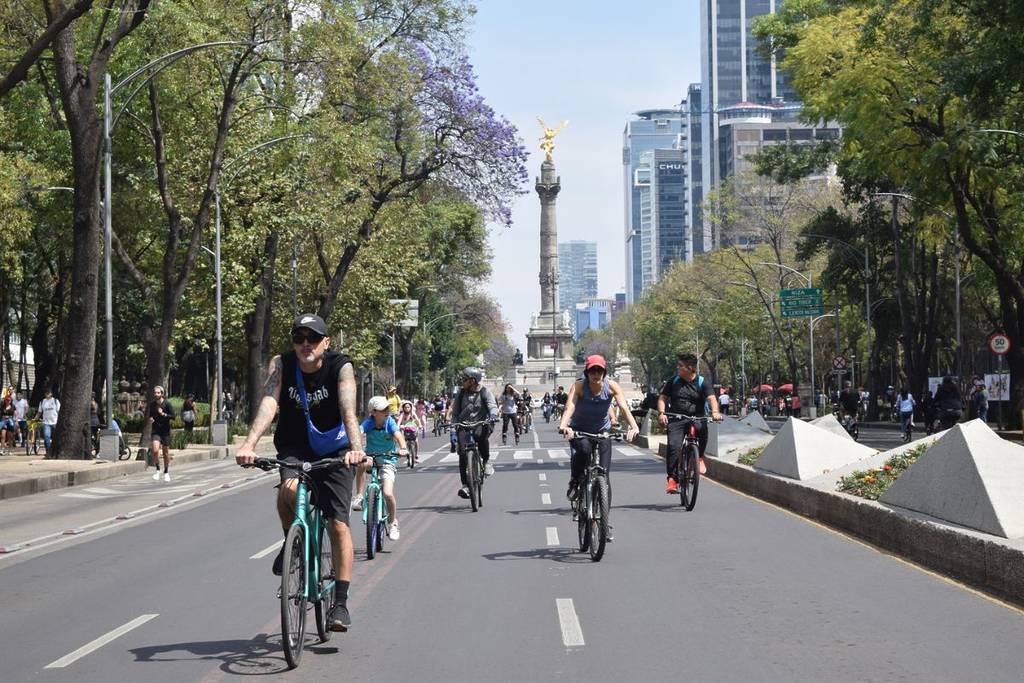qué hacer un domingo en cdmx