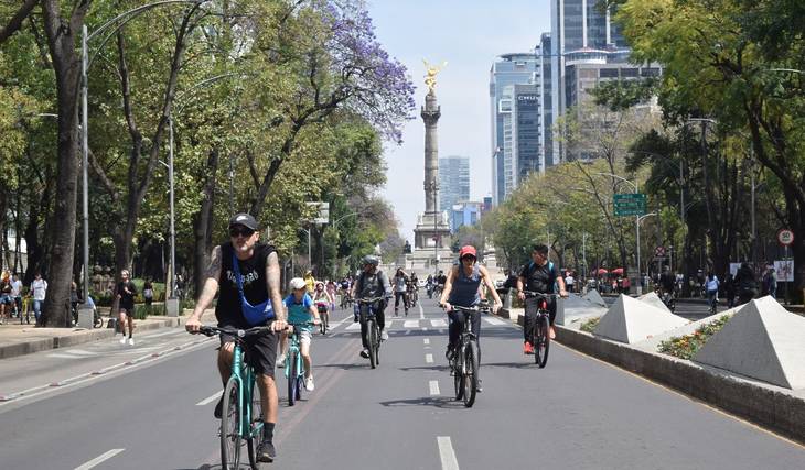 What to Do on a Sunday in Mexico City: Activities That’ll Get You Out of the House and Having Fun