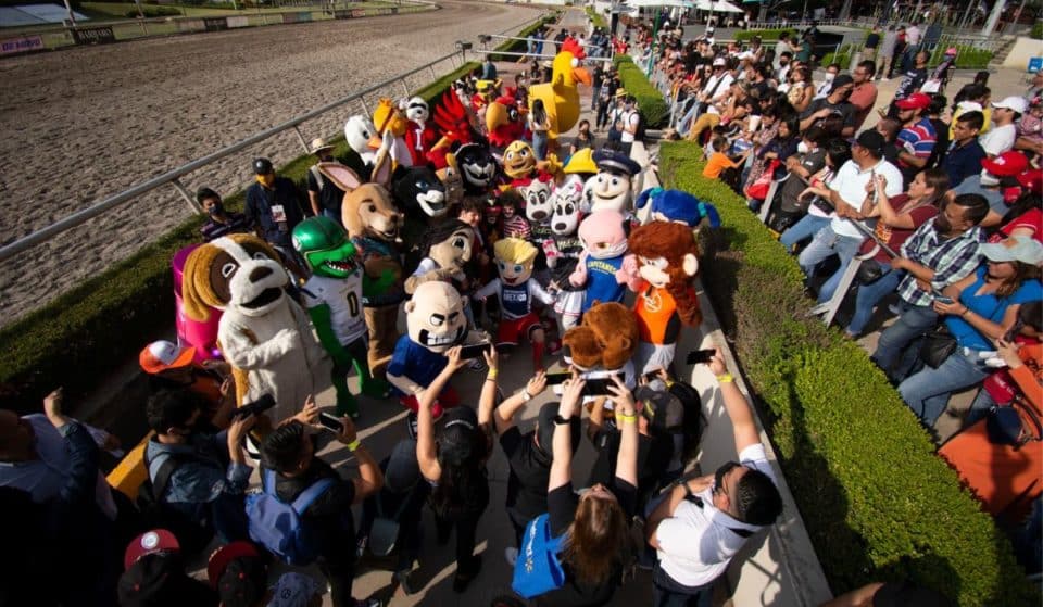 ¡Habrá carrera de botargas en el Hipódromo de las Américas!