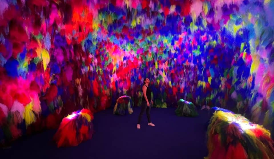 ¡MUFO abre sus puertas y está más increíble que nunca!