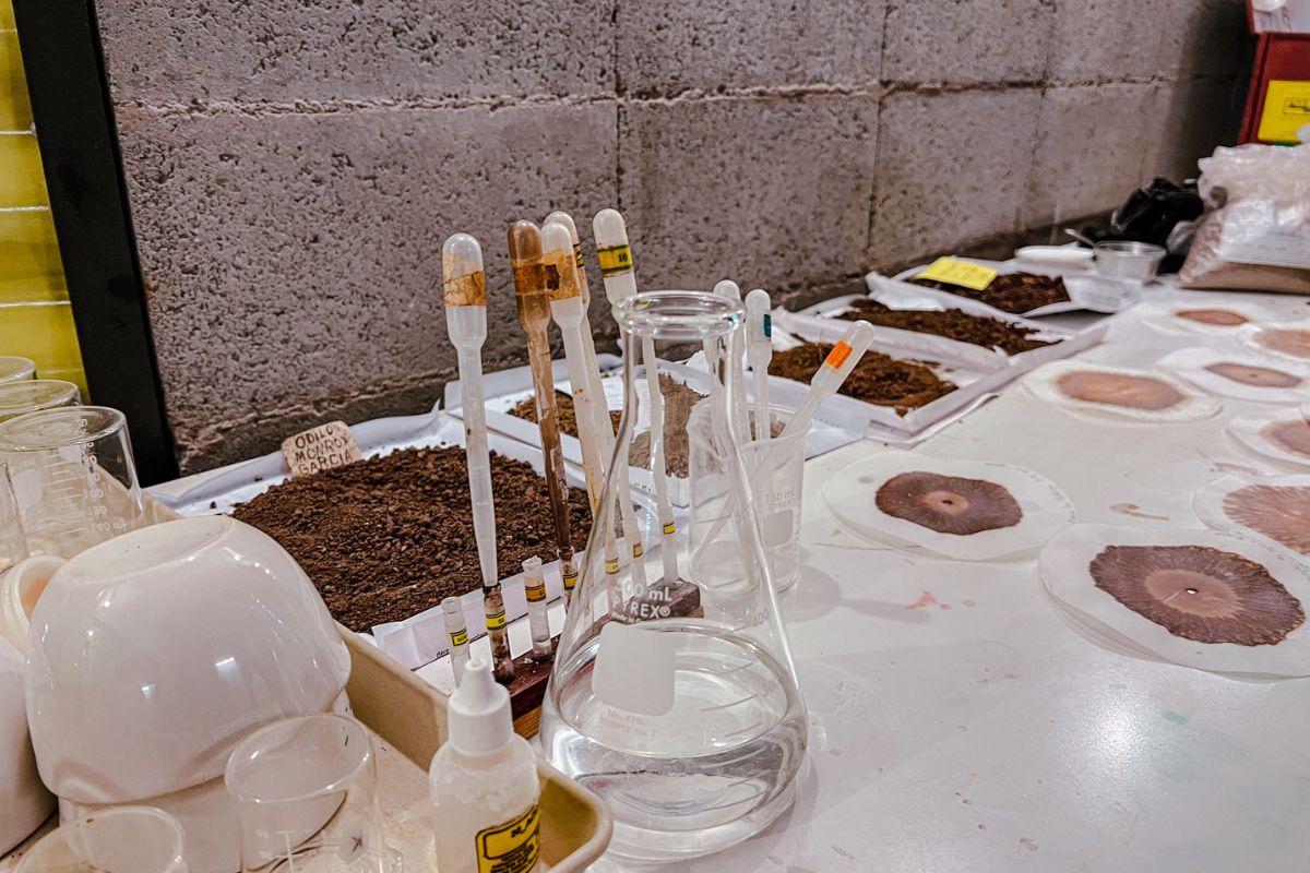 laboratorio-de-café-BUNA