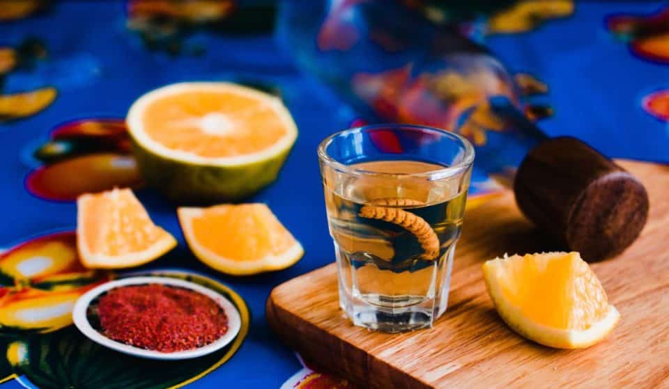 Festival Mezcalero y Rockero: ¡pulque, música y garnachas!