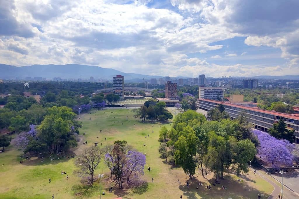 Lugares para jugar fútbol en CDMX - Las Islas CU
