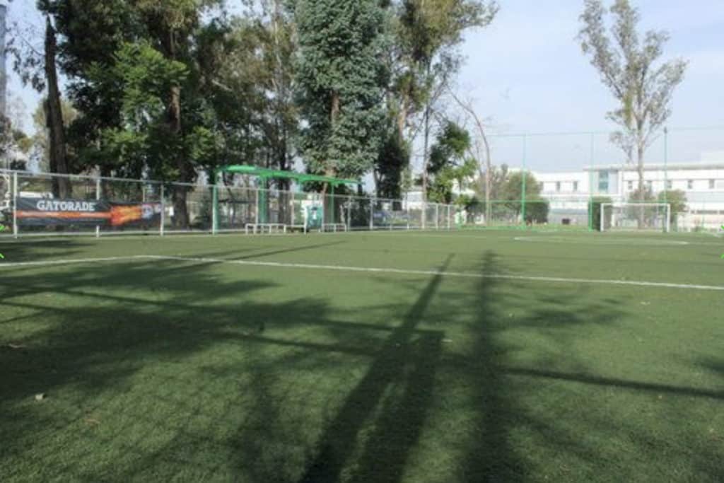 Lugares para jugar fútbol en CDMX - Olimpus 7