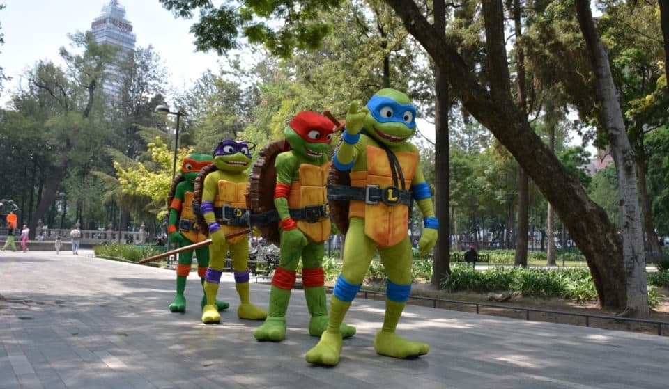 ¡Cowabunga! Visita esta experiencia de las Tortugas Ninja