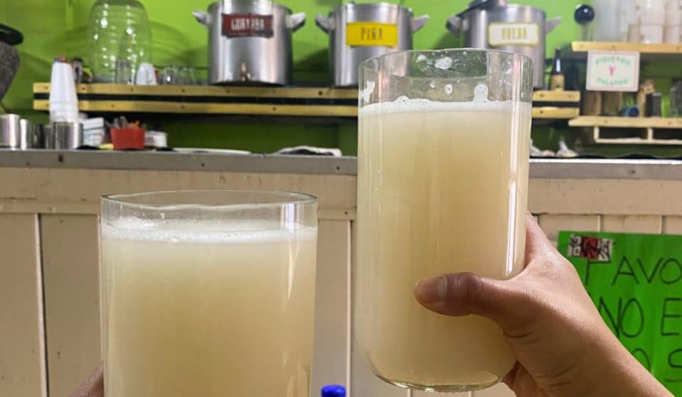Los mejores pulques en el Festival Pulquero Tlaxiquero CDMX
