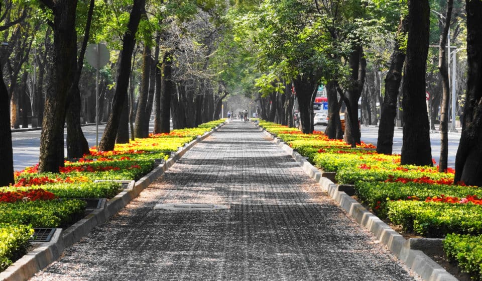 ¡CDMX, dentro del top 100 de las mejores ciudades!