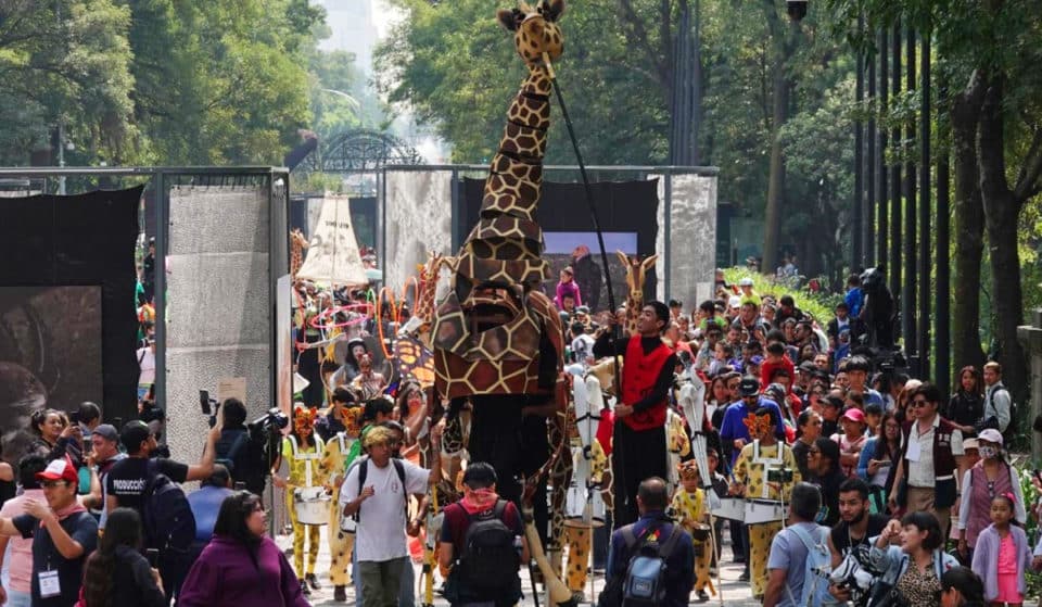 ¡El Zoológico de Chapultepec tuvo desfile de los 100 años!