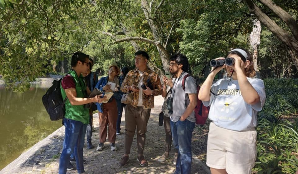26 actividades gratis en el Bosque de Chapultepec en julio