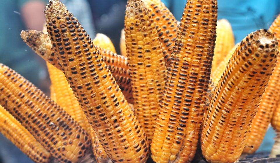 ¡Dale gusto al antojo en la Feria Gastronómica y del Elote!
