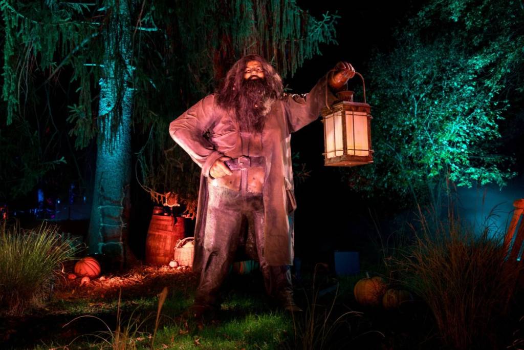 Harry Potter’s Forbidden Forest Experience