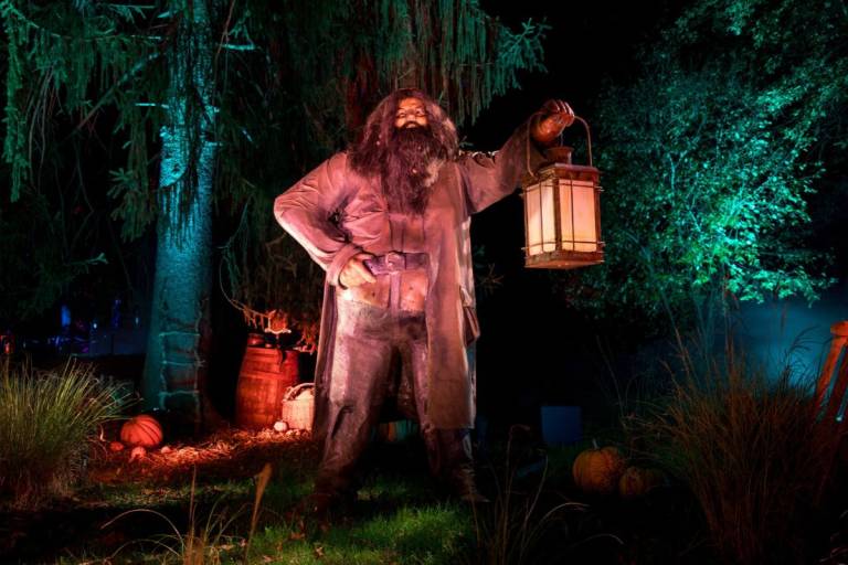 experiencia el bosque prohibido Harry Potter