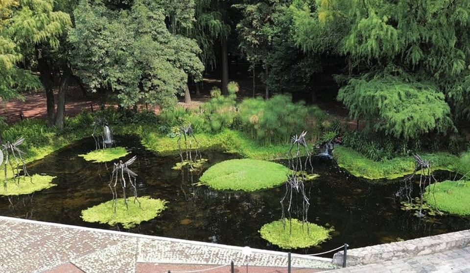 ¡Actividades gratis del Bosque de Chapultepec en octubre!