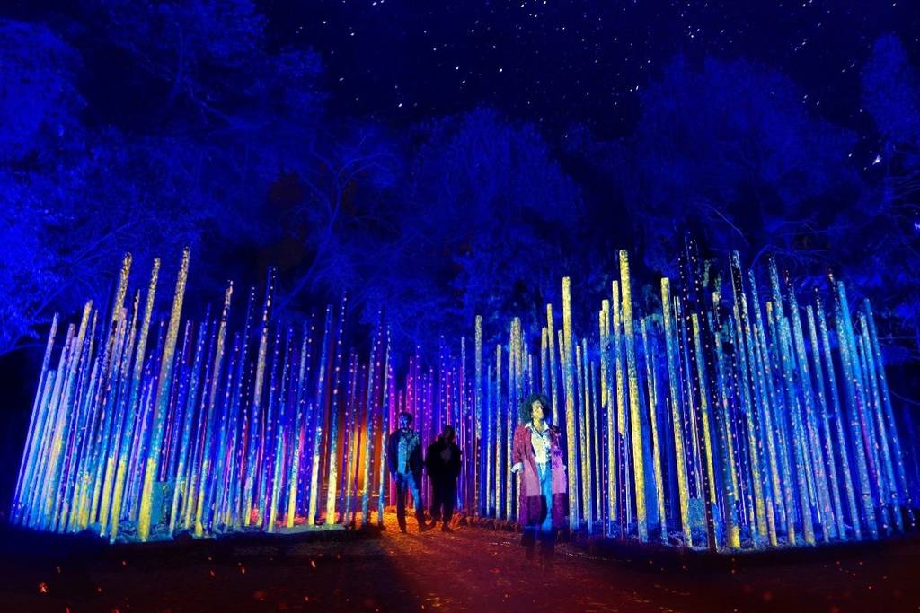 events november 2025 cdmx