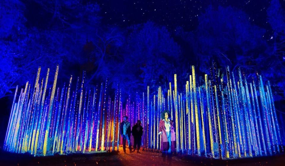 Eventos durante noviembre de 2025 en CDMX: los mejores planes para divertirte