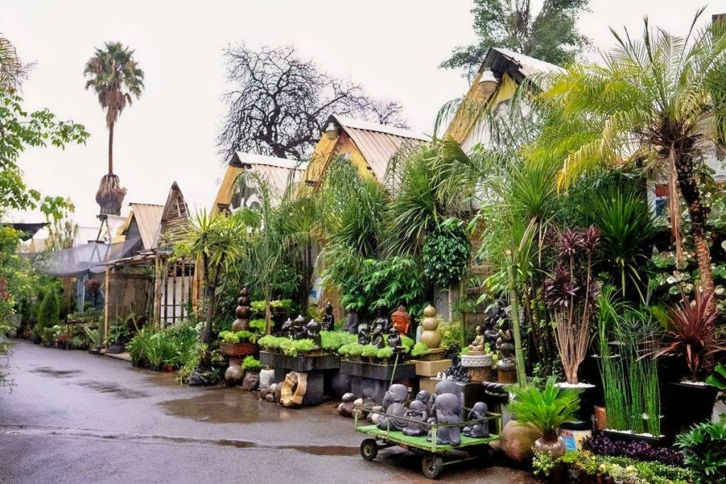 Cuemanco Plant and Flower Market