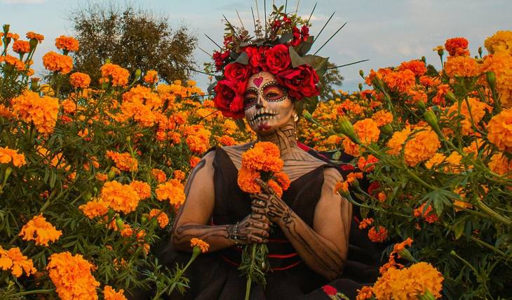 Campos llenos de la flor del Día de Muertos: dónde están las zonas llenas de cempasúchil en CDMX en 2026