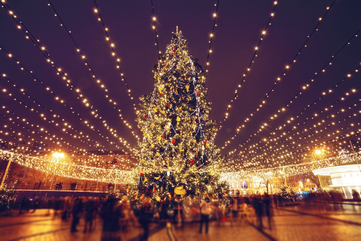 Eventos navideños 2025 en CDMX: las mejores actividades de Navidad para ...