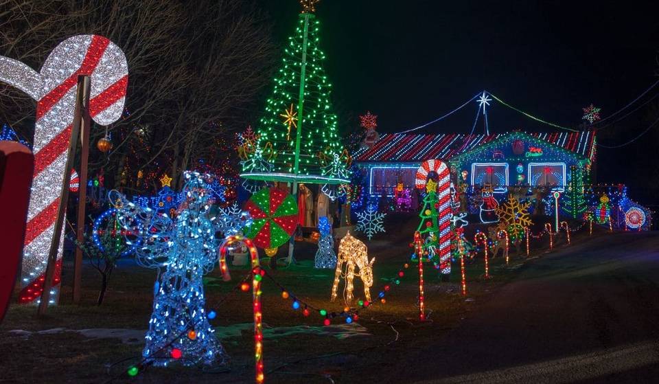 ¡Espíritu navideño en el Bosque Iluminado 2023 de Hidalgo!