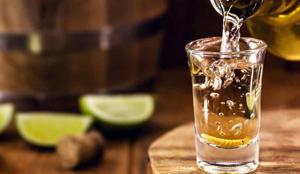 ¡Salud! Visita el Tianguis Navideño de Mezcales en el Mutem