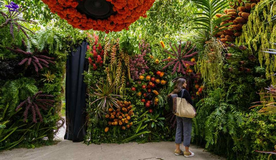 ¡Ya inició el Festival de Flores y Jardines 2024 en CDMX!