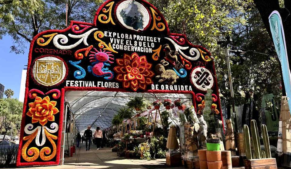 Ya llegó el Festival de Flores de Orquídeas a Reforma