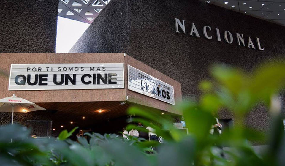 Óscars 2024: Ve las películas nominadas en la Cineteca