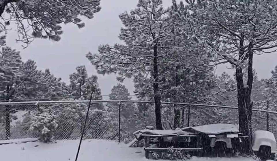 Reportan caída de nieve y aguanieve en zonas altas de CDMX