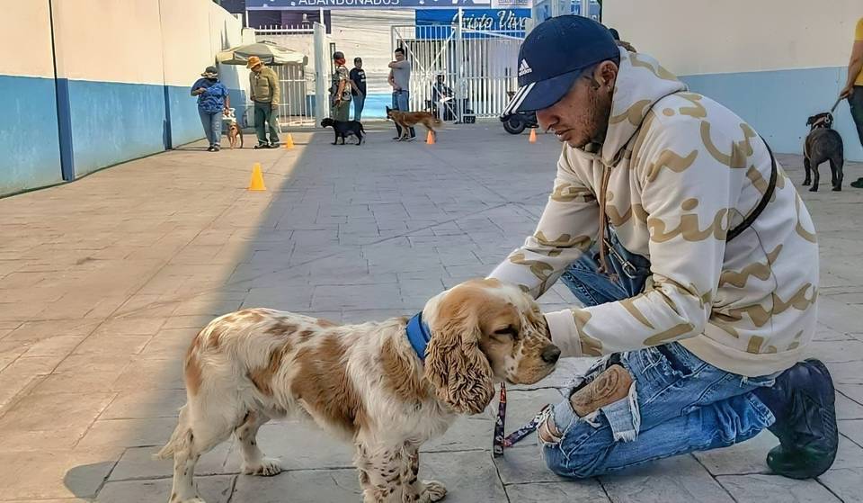 ¡Hay entrenamiento canino gratuito en alcaldía Cuauhtémoc!
