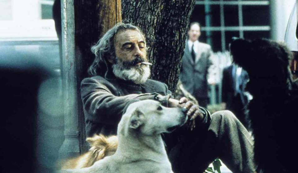 Lánzate a ver Amores Perros en Cineteca Nacional de las Artes
