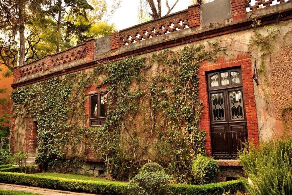 museos en coyoacán cdmx