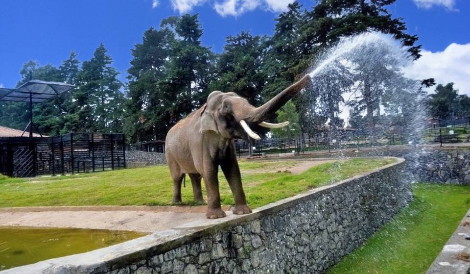 Dona tus llaves y entra gratis al Parque Ecológico Zacango