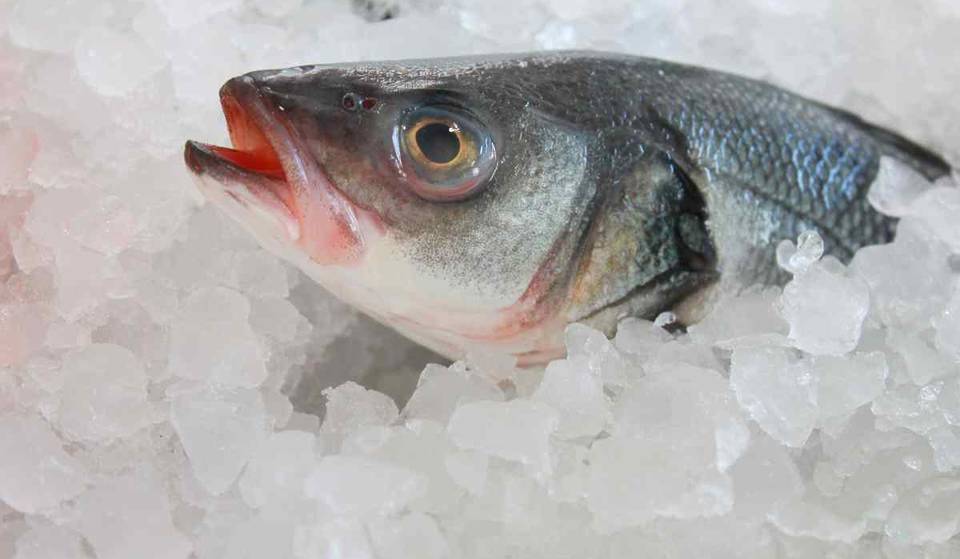 Los mejores consejos para comprar pescados y mariscos