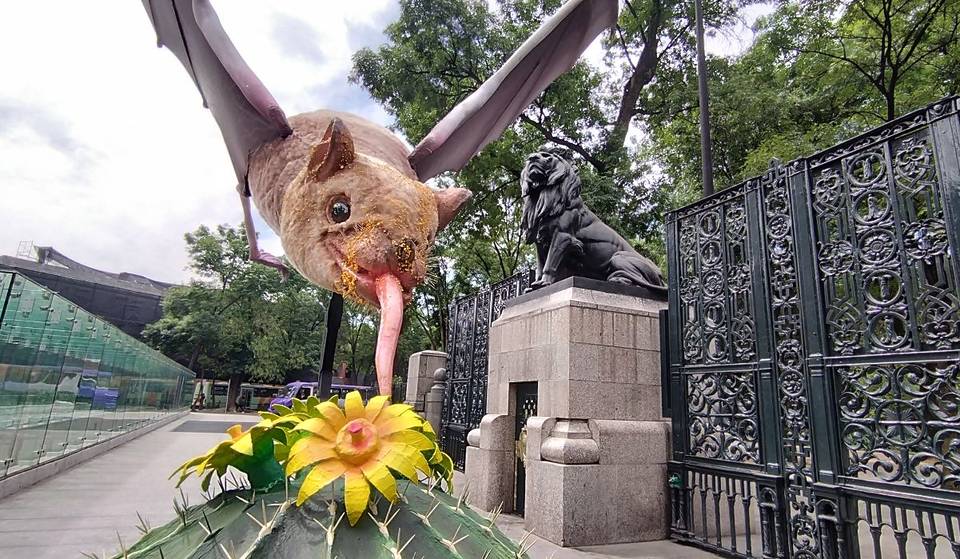¡Esto habrá en el Festival del Bosque de Chapultepec 2024!