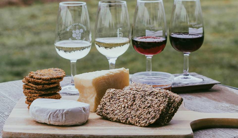 Alista el paladar para el Festival del Mezcal, Vino y Queso