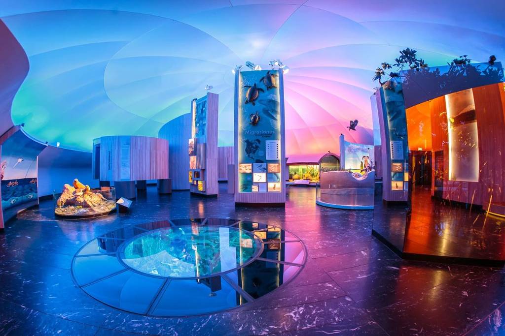museum night may 2025 cdmx